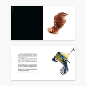 Buchinnenseiten von Vögel, Sieveking Verlag