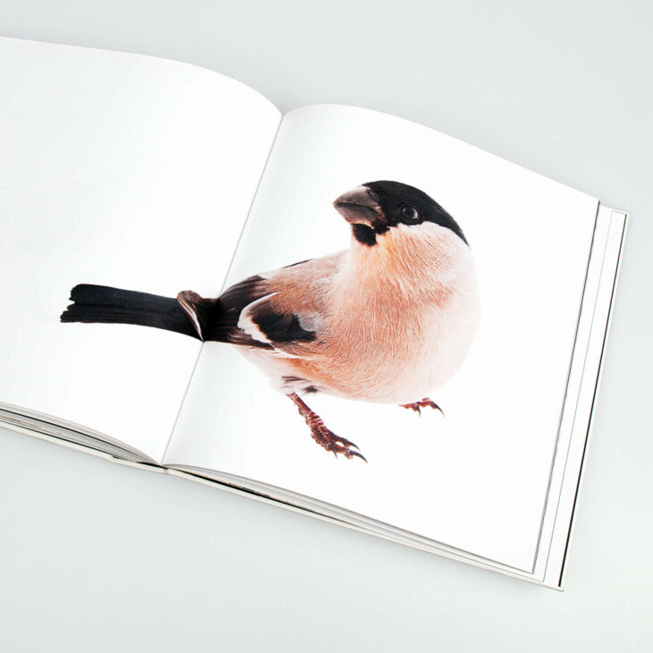 Buchansicht von Vögel, Sieveking Verlag