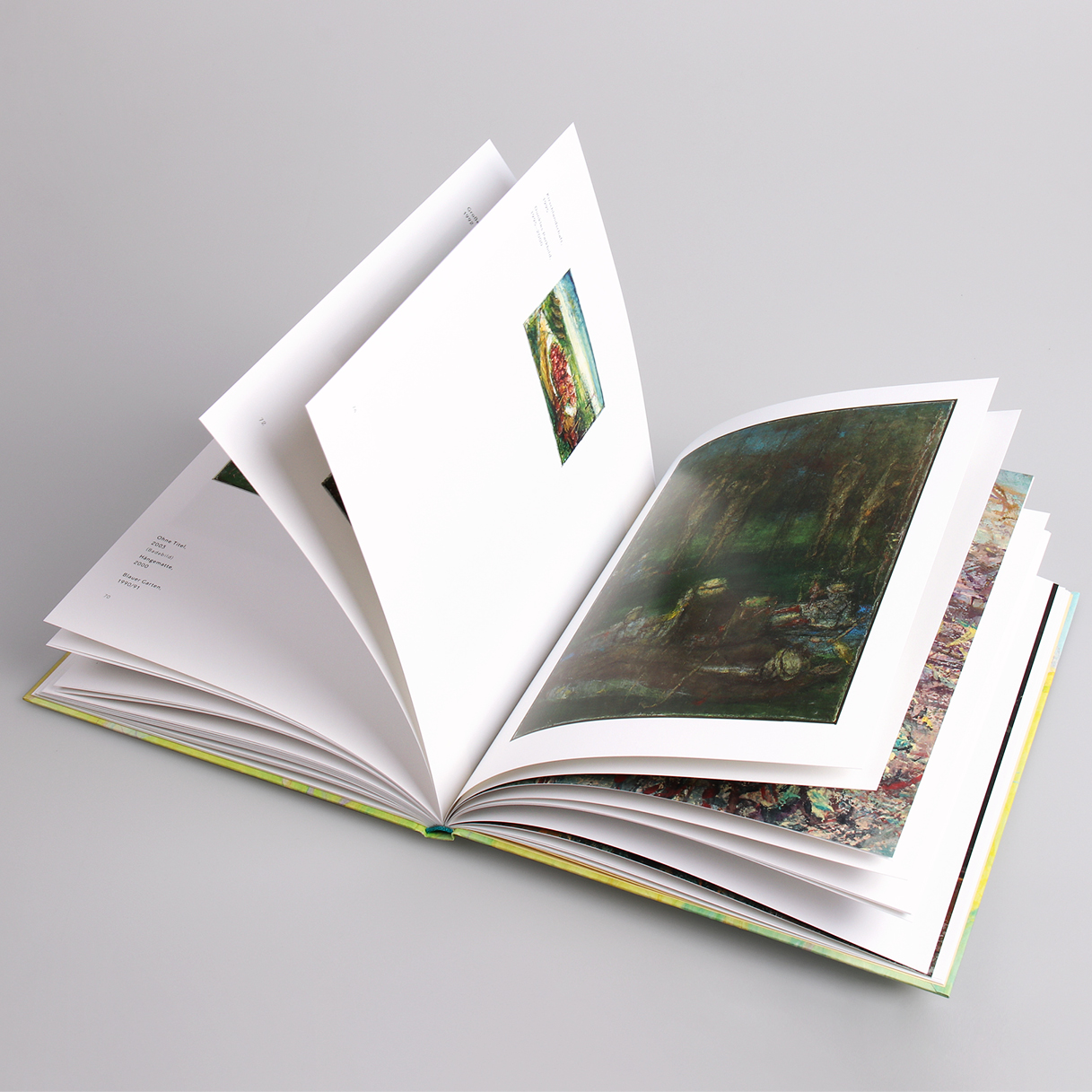 Aufgeschlagenes Buch Rudi Tröger Ausblicke und Innensschau